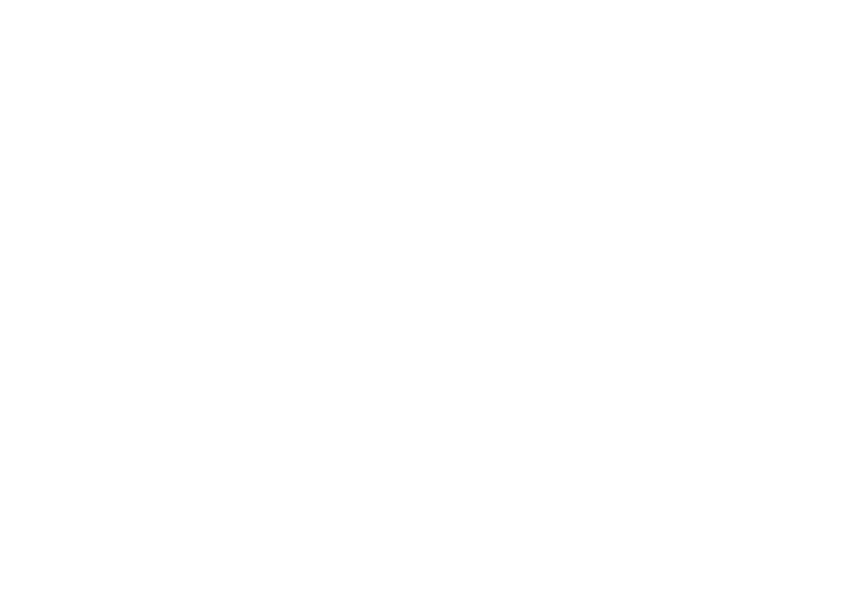 Young Orchestra Of Integration